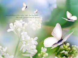 Download beautiful images of friendship. Friends Quotes Wallpapers Wallpaper Cave