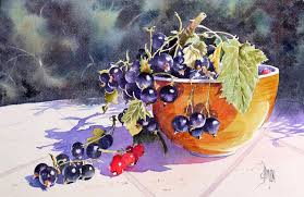 Aquarelle Cassis Gradilles Joel Simon Aquarelle Fruits Aquarelle Les Arts