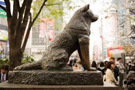 News & interviews for hachiko: Hachiko Ein Hund Als Sinnbild Von Treue Und Loyalitat In Japan