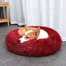 Many pet supply businesses don't take the time to thoroughly research the health implications of the products they sell, much less seek out the medical advice of a doctor of veterinary. Calming Dog Bed Faux Fur Anti Anxiety Pet Bed Lazy Pets Store