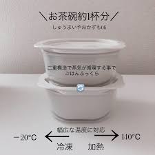 機能性抜群 ダイソーのご飯保存容器 ご飯 保存 保存食品 保存容器