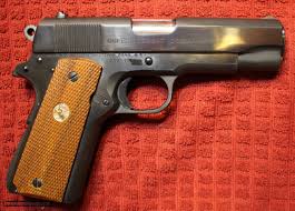 Image result for Pacific Blue 1973 Colt