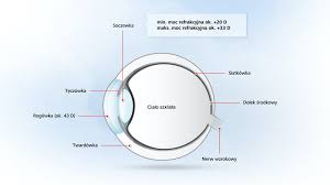 Leczenie siatkówki choroby oczu powinny być szybko diagnozowane i leczone. Oko Czlowieka