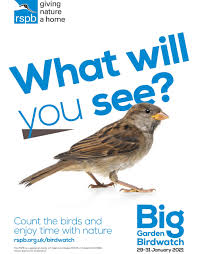 Rspb orkney, stromness, united kingdom. I 4hn1dsusznzm