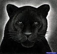 His eyes, too, were black and very bright. Face Black Panther Animal Drawing Step By Step Novocom Top