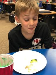 Stanley Community Schools