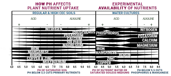 71 Detailed Canna Feed Chart For Cannabis