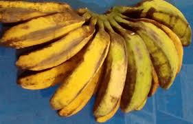 Untuk kete baru dlm waranty , pas balik servis boleh campur 1/2 botol minyak 5000. Jenis Jenis Buah Pisang Si Buah Surga Kaya Manfaat Kissparry