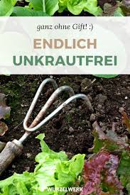 So funktioniert die bildersuche (englisch). Wie Mein Garten Fast Von Selbst Unkrautfrei Bleibt Wurzelwerk