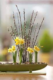 Daffodils Everyday Gardeners Ikebana Daffodils Spring Flowers