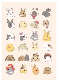Bunny Face Drawing Bunnyfacedrawing Cute Animal Drawings Cute Drawings Bunny Drawing
