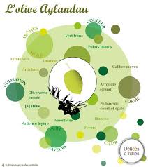 Infographie Sur La Variete D Olive Aglandau Olives Lucques Artichaut
