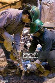 261 Melara Stock Photos, High-Res Pictures, and Images