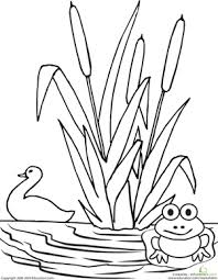 There are mostly coloring pages, and a few coloring activities. Color The Pond Worksheet Education Com Bird Coloring Pages Coloring Pages Coloring Pages Nature