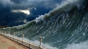 Tsunami confirmed, the australian bureau of meteorology said in a tweet, as it warned of a threat to lord howe island, which is about 550km (340 miles) east of australia's mainland. Potensi Tsunami Selatan Jawa Hingga 20 Meter Bmkg Ungkap Penyebabnya Lingkar Madiun