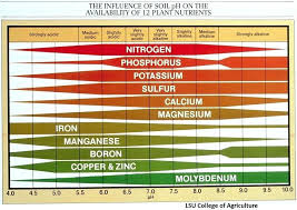 Ph Of Plants Dykutrustning Org