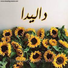 معنى اسم داليدا وصفاتها الشخصيه dalida خلال موقع muhtwa.com , داليدا من اسماء العلم المؤنثة التي بدأت في الانتشار خلال السنوات الحالية في ظل تمسك. Ù…Ø¹Ù†Ù‰ Ø§Ø³Ù… Ø¯Ø§Ù„ÙŠØ¯Ø§ Dalida Ù‚Ø§Ù…ÙˆØ³ Ø§Ù„Ø£Ø³Ù…Ø§Ø¡ Ùˆ Ø§Ù„Ù…Ø¹Ø§Ù†ÙŠ