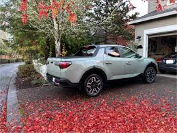 Image result for Sage Gray 2025 Santa Cruz