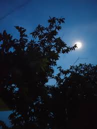 Moonlight & dayana — popstar (dfm mix) 02:48. I To Moon Vishnukant Chaturvedi