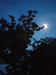 Uncommon moonlight and additional hours of sleep on halloween wral com fooshya com / фред туа, крис фишер, пол холахан. I To Moon Vishnukant Chaturvedi