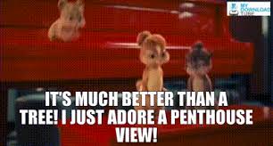 Go on to discover millions of awesome videos and pictures in thousands of other categories. Yarn It S Much Better Than A Tree I Just Adore A Penthouse View Alvin And The Chipmunks The Squeakquel 2009 Video Gifs By Quotes Fc802f95 ç´—