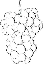 Grape leaf coloring page uluv grapes small free. Grapes Coloring Pages Best Coloring Pages For Kids