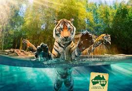 Sunshine Coast Australia Sunshine Coast Australia Tourism Australia