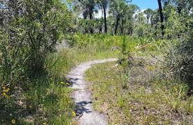 BoldlyGo Bike Trail, Florida - 164 Reviews, Map | AllTrails