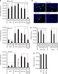 Evolution of hepatitis delta virus rna during chronic infection. Enveloped Viruses Distinct From Hbv Induce Dissemination Of Hepatitis D Virus In Vivo Nature Communications