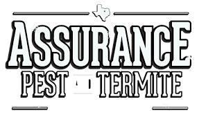 Dallas pest control came out quickly, charged a fair price, and we've never seen the mice again! Residential Commercial Pest Control Company Carrollton Tx