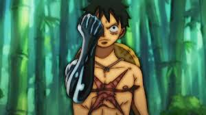 One Piece: Why Luffy Isn'T Using Conqueror'S Haki Against Kizaru, Explained