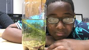 Rick Crosslin Science -Aqua Terra Project