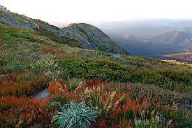 Mt buller december 13, 2020 · grab some mates and come and enjoy mountain air, stunning alpine views and a massive network of 100+kms of trails across mt buller and mt stirling. Mt Buller In Summer 1 Mapio Net