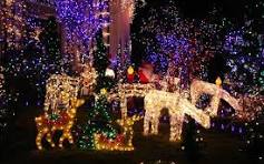 Enjoy a Festive Raleigh Christmas Lights Drive Through with ...