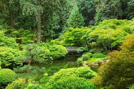 One Hour Relaxation Visualization Zen Garden Talk Down Deep Relaxation Stress Relief Guided Meditation Zen Garden Learn Hypnosis