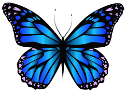 We did not find results for: Blue Butterfly Purple Butterfly Tattoo Butterfly Clip Art Butterfly Tattoo Designs
