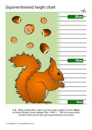 Red Squirrel Themed Childrens Height Chart Sb5891
