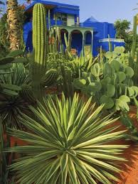 Majorelle Gardens In Marrakech Jardin Majorelle Terrasse Jardin Jardins