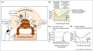 Gastrointestinal Host Pathogen Interaction In The Age Of Microbiome Research Sciencedirect