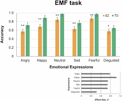Inferring social signals from the eyes in male schizophrenia