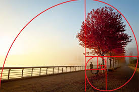 In almost every situation, we recommend the golden ratio, which has been seen as a standard for hanging pictures for quite. How To Use The Golden Ratio To Improve Your Photography Apogee Photo Magazine