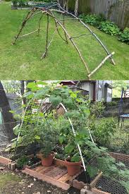 When the plant dies and if i have used twine made from jute or other natural fiber, i simply cut the twine loose from the cross stick, pull the bean plant from the ground and toss the whole thing in the compost pile. 24 Easy Diy Garden Trellis Ideas Plant Structures A Piece Of Rainbow