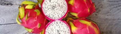 Sie sind gesund, köstlich und machen gute laune: Samen Exotische Fruchte Online Kaufen Bei Saatgut Biene De Saatgut Biene