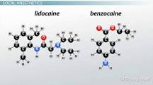 Benzocaine vs. Lidocaine | Definition & Differences - Lesson ...