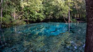 Explore brands from nestle in the united states, from digiorno pizza to chameleon cold brew coffee, stouffer's meals to purina beyond petfood, and gerber baby foods to san pellegrino water. Nestle Will Taglich Millionen Liter Wasser In Florida Abpumpen Stern De