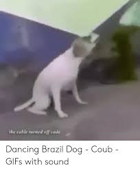 25 Best Memes About Dancing Brazil Dog Dancing Brazil Dog Memes