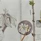 WORKSHOP RETREAT: Botanical Illustration for Field Guide Journals