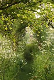 Beautiful Gardens Beautiful Nature Secret Garden