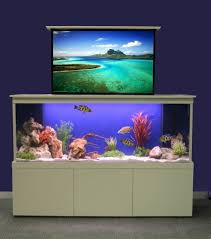 Epingle Sur Support D Aquarium