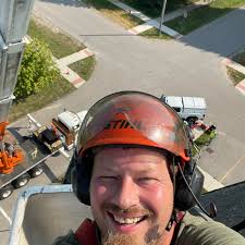 Can someone give a quote for tree branch removal?